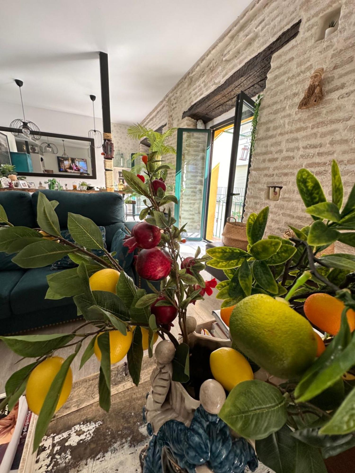 Casa Duque Compartida Familiar 1-Habitacion Con Bano Propio Sevilla Dış mekan fotoğraf
