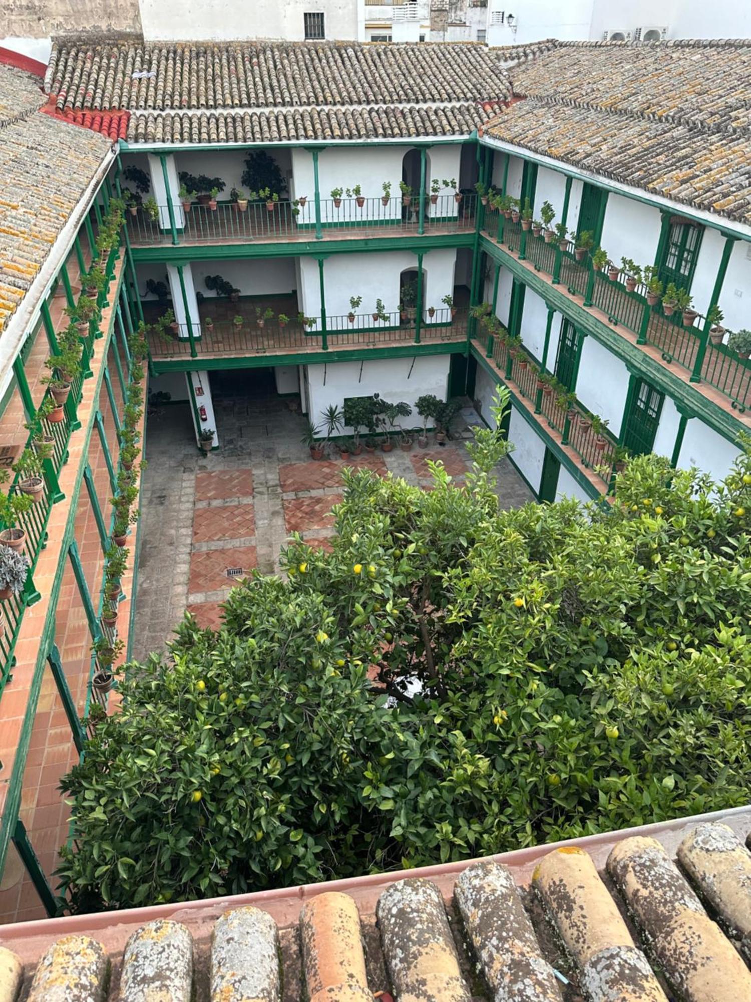 Casa Duque Compartida Familiar 1-Habitacion Con Bano Propio Sevilla Dış mekan fotoğraf